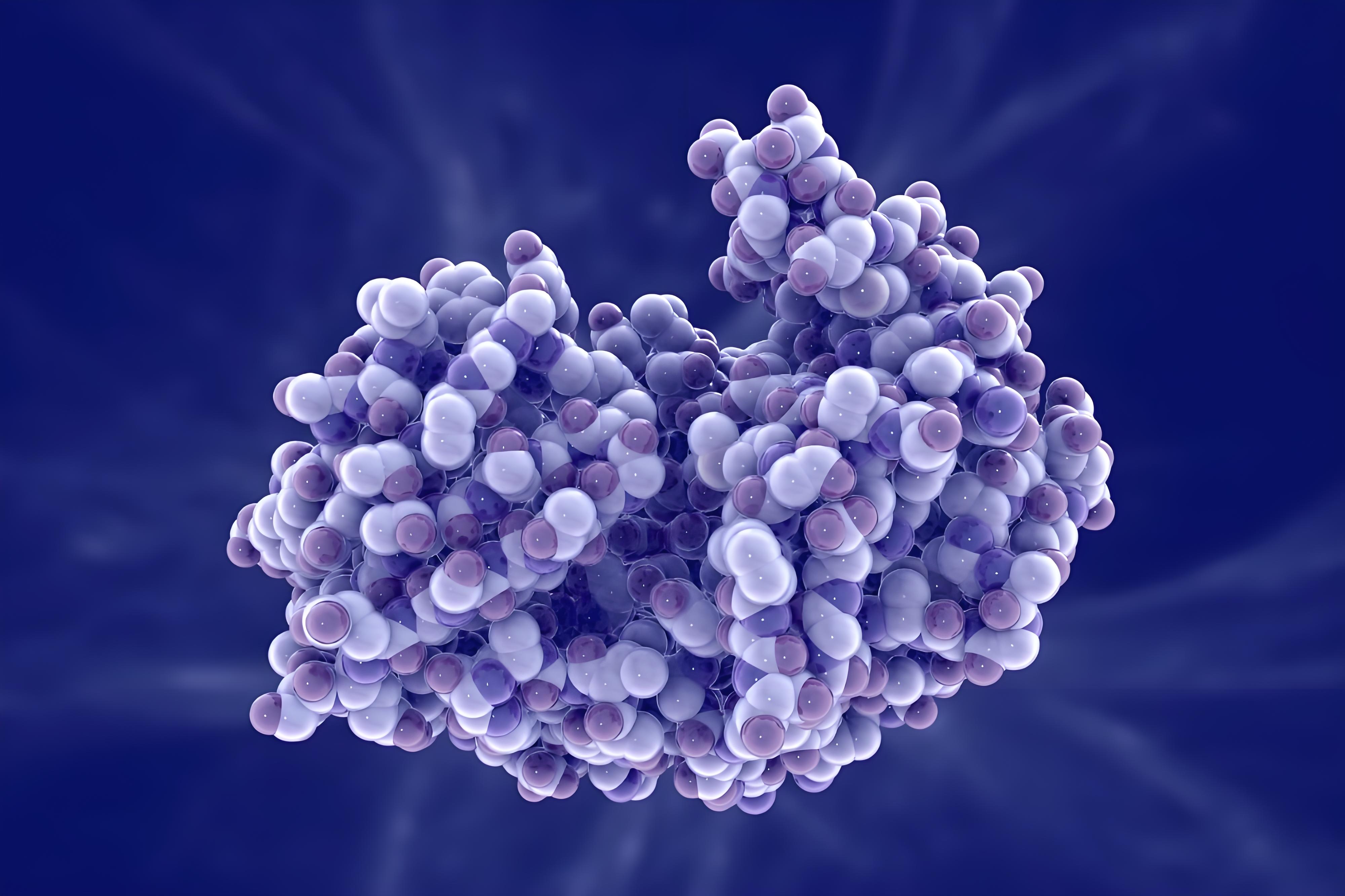 表达菌株,重组蛋白,工具酶