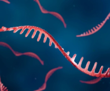 guide RNA,gRNA,pegRNA,crRNA