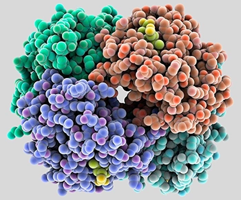 靶点蛋白,molecular target,病原体蛋白